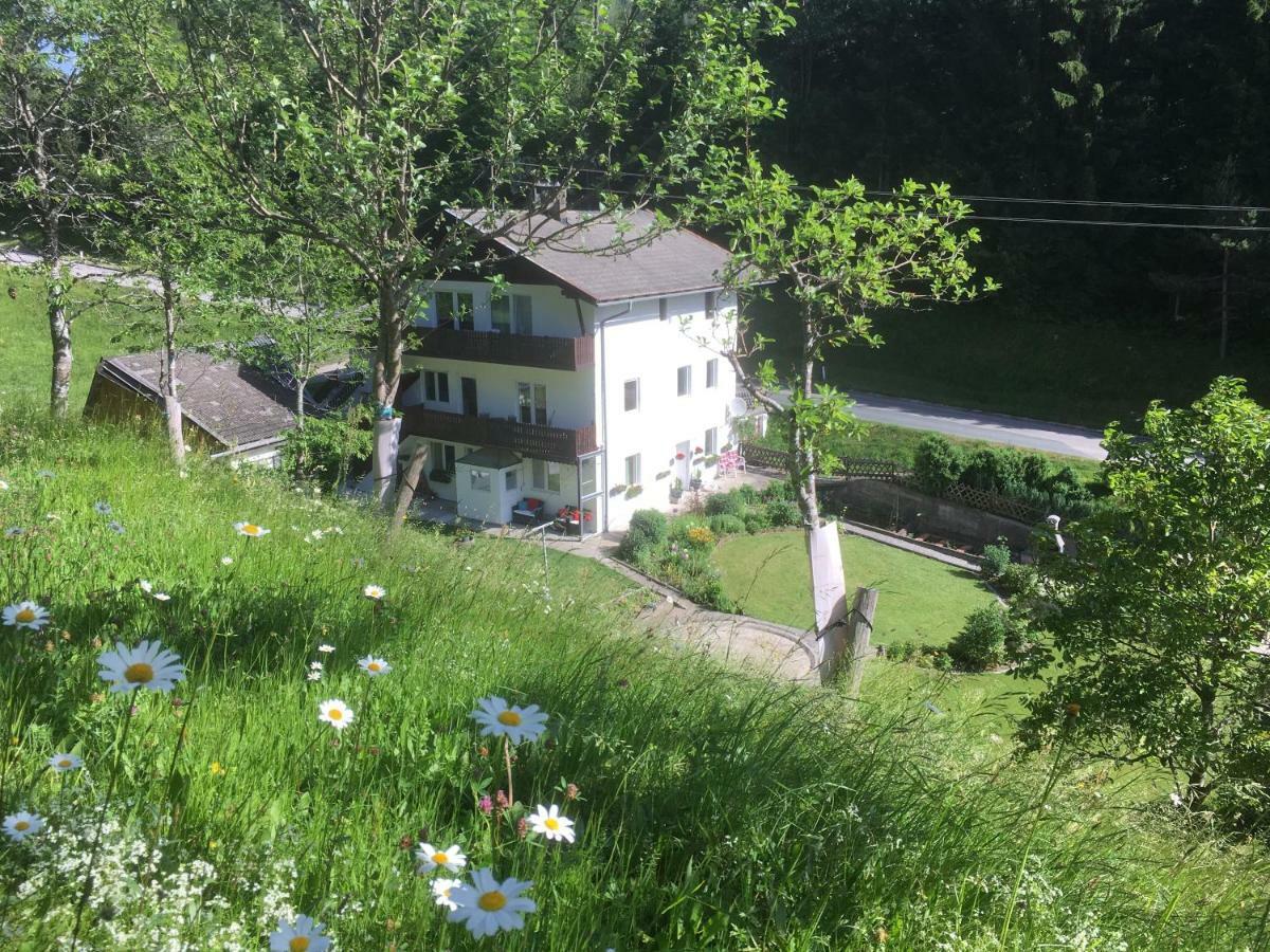 Ginnys Place Kotschach-Mauthen Exterior foto